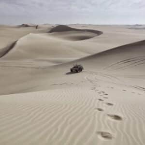 Photo Exterminator truck