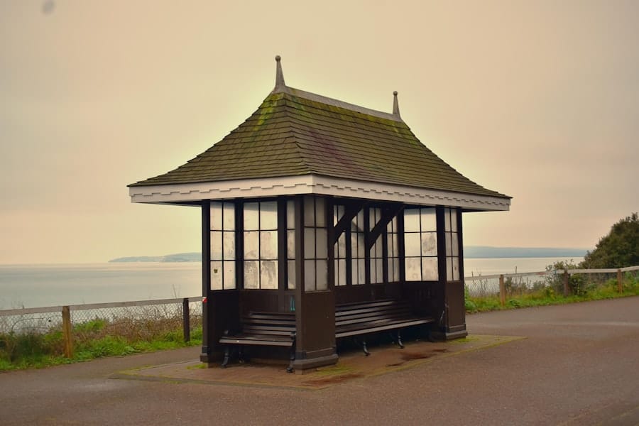 Where Do Termites Come From? 1 abcdhe 203