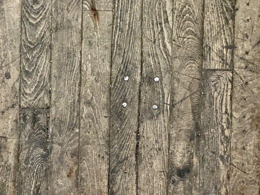 How Do I Know if I Have a Termite Infestation in My Home? 1 abcdhe 274