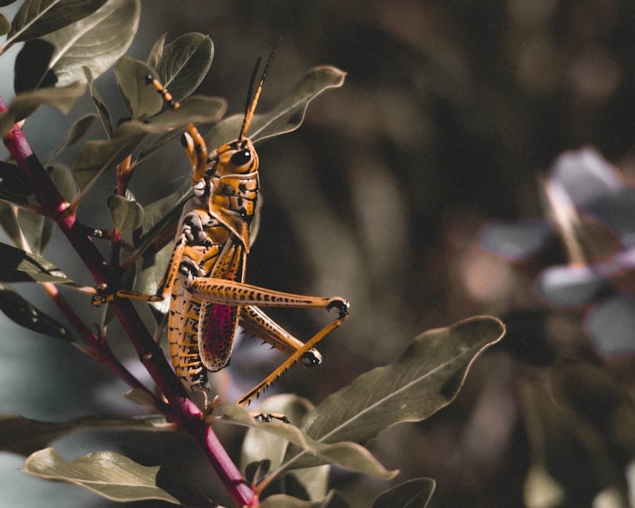 Haunted by Houseguests: Battling Ghosts of Pest Infestations Past 1 abcdhe 45