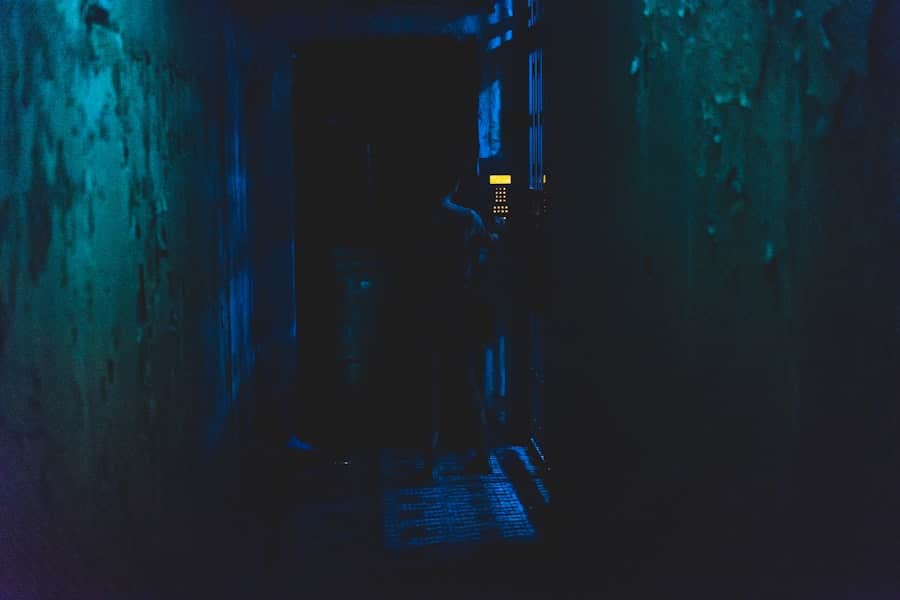 What Role Do Cracks and Crevices in a Building Play in Providing Entry Points for Pests? 2 image 213