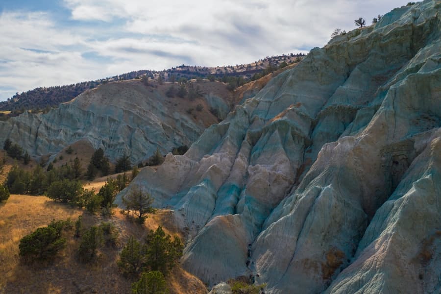 How Often Should You Spray Peppermint Oil for Rats? 2 image 341