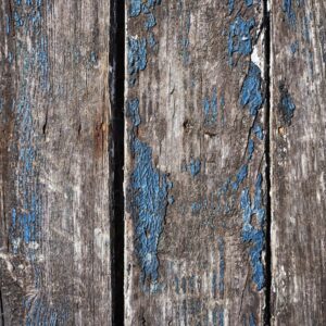 Photo Wood chippings