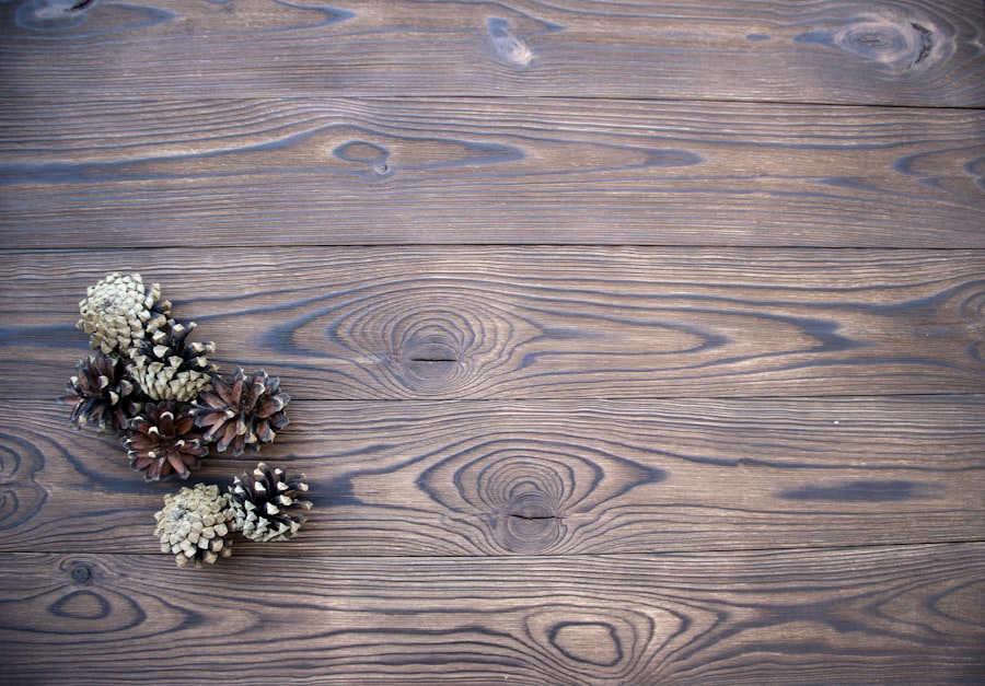 What Conditions Do Termites Hate? 2 image 385