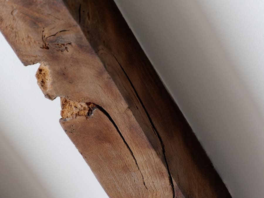Do Termites Go Away on Their Own? 2 image 443