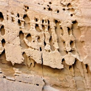 Photo Termite damage