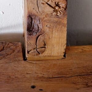 Photo Termite damage