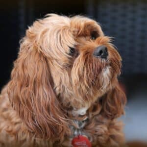 Photo Eco-friendly pesticides