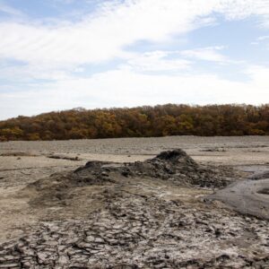 Photo Termite-resistant coating