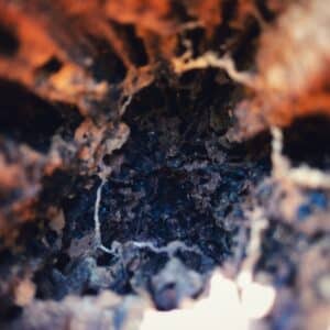 Photo Termite damage