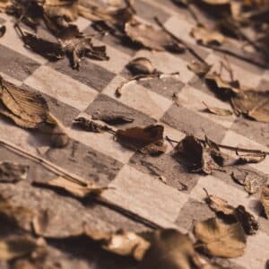 Photo Termite tenting