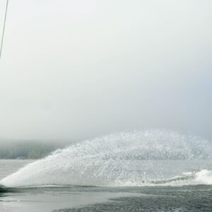 Photo Pest control spray