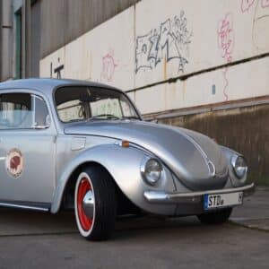 Photo Bug infestation