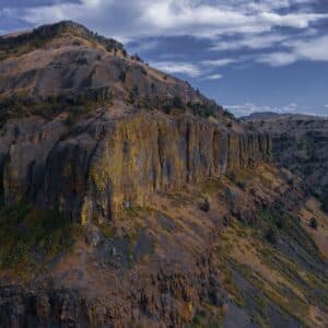 Photo Pest control spray