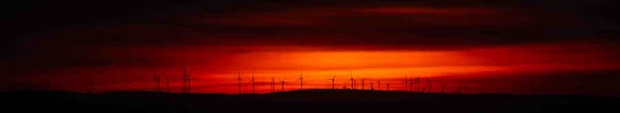 Are There Environmentally Friendly Pest Control Options for Small Animal Infestations? 1 abcdhe 111