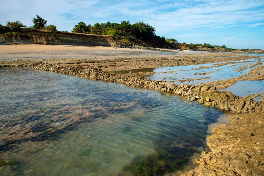 How Do I Get Rid of Mosquitoes in My Yard Permanently? 1 abcdhe 361