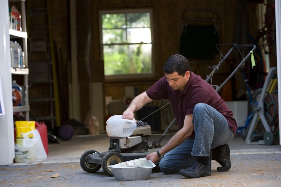 Insect Infestations: Tackling the Most Common Culprits in Your Home 1 abcdhe 40