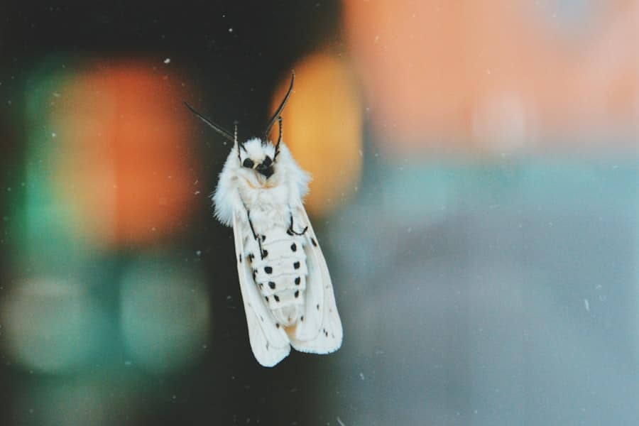 The War on Weevils: Tackling Pantry Pests and Food-related Insects 1 abcdhe 49