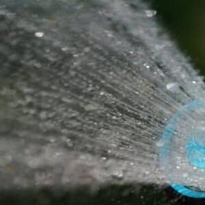 Photo Bug spray