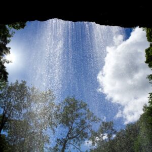 Photo Pest control spray