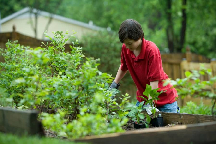 Insect Pests and Your Garden: Protecting Your Plants from Six-legged Threats 2 image 158