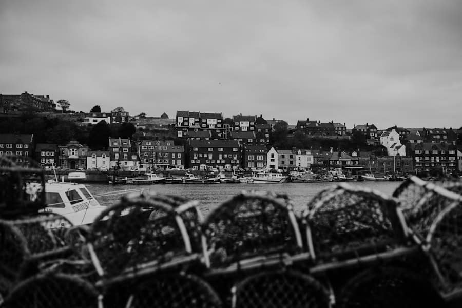 Can I Control Pantry Pests Like Weevils and Moths Without Using Harmful Chemicals? 2 image 257