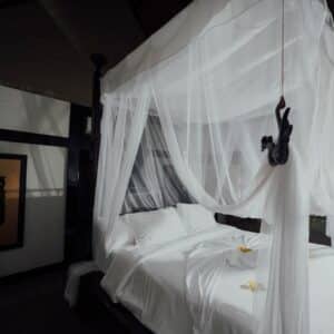Photo Mosquito net