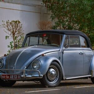 Photo Invasive beetle