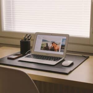 Photo Window screens