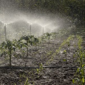 Photo Pest control spray