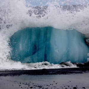 Photo Invasive species: Impact