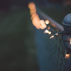 Photo Fence and netting