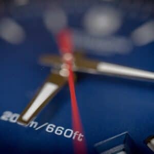 Photo Motion-activated sprinkler