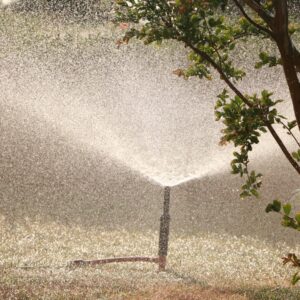 Photo Insecticide spray