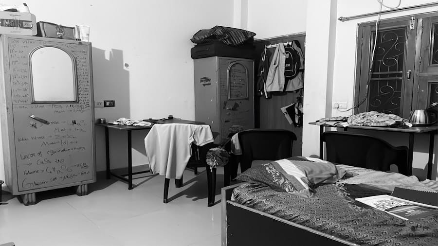 How Does Terminix Get Rid of Squirrels? 2 image 495