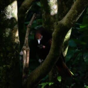 Photo Wildlife sanctuary