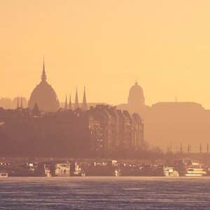 Photo Pest control spray