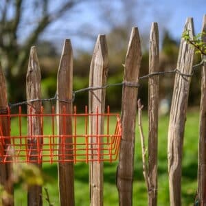 Photo Garden fence