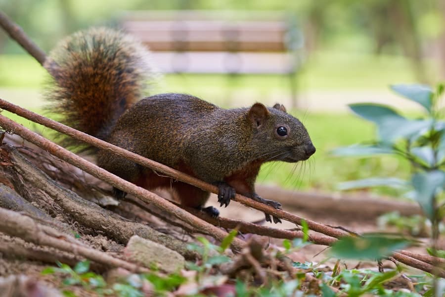 image 693