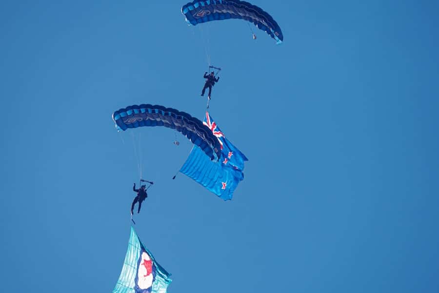 How Do I Control Mosquitoes in My House? 2 image 715