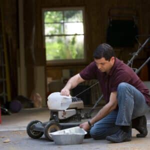 Photo Pest control