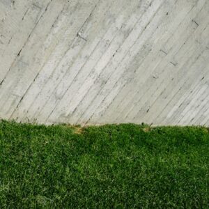 Photo Fence and netting