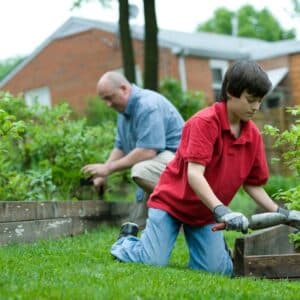 Photo Pest control