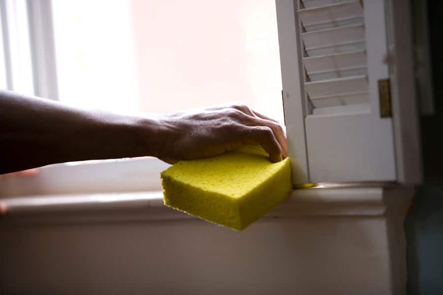 Little Terrors: the Hidden Dangers of Insect Pests in Your Home 2 image 93